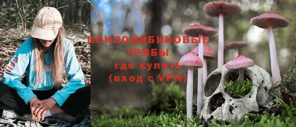 каннабис Каменка