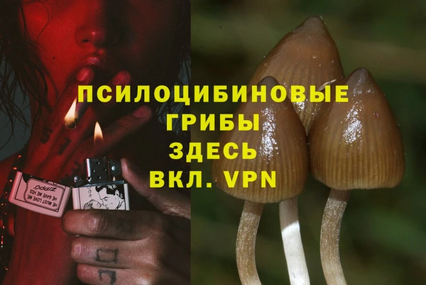 каннабис Каменка