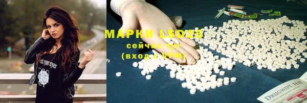 jwh Пересвет