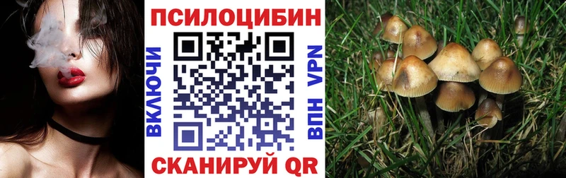 купить закладку  Яранск  Псилоцибиновые грибы Psilocybine cubensis 